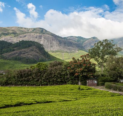 India_Houcem_BOUDAYA_Photography_05 copie