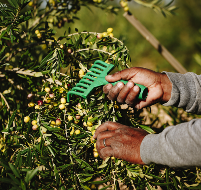 houcem-boudaya-photography-product-olive-oil-AGRISUD17