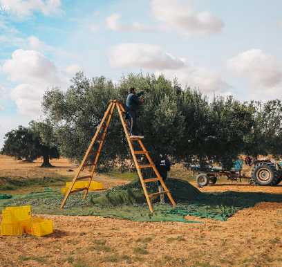 houcem-boudaya-photography-product-olive-oil-CHO-26