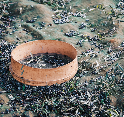 houcem-boudaya-photography-product-olive-oil-CHO-34