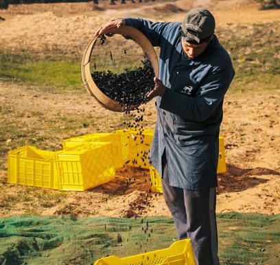 houcem-boudaya-photography-product-olive-oil-CHO-37