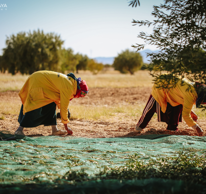 houcem-boudaya-photography-product-olive-oil-CHO10