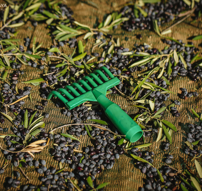 houcem-boudaya-photography-product-olive-oil-CHO11