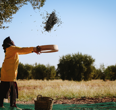 houcem-boudaya-photography-product-olive-oil-CHO17