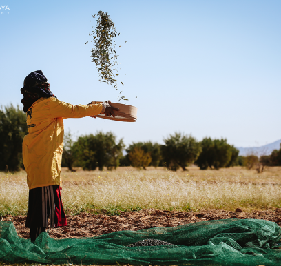 houcem-boudaya-photography-product-olive-oil-CHO22