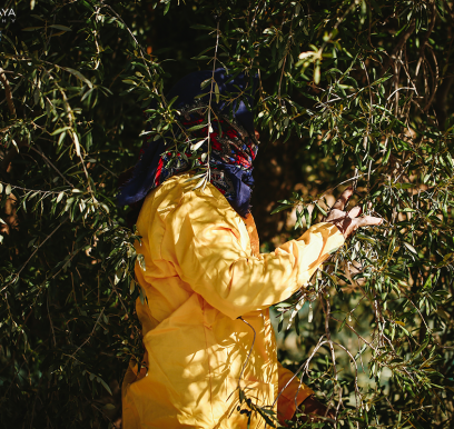 houcem-boudaya-photography-product-olive-oil-CHO4