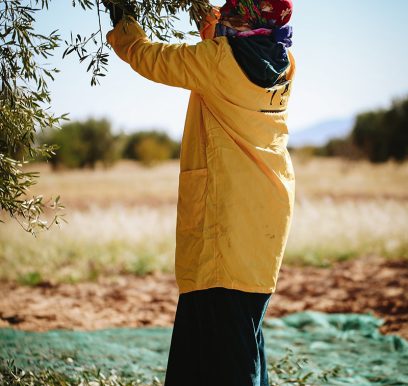 houcem-boudaya-photography-product-olive-oil-CHO8