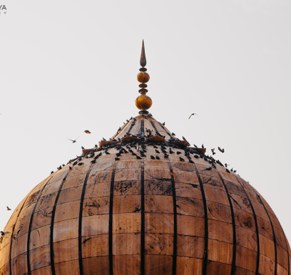 houcem-boudaya-photography-travel-india27