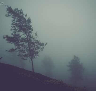 landscape 4 copie